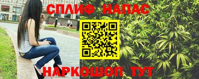 винт Сланцы