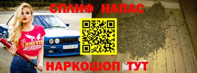 винт Сланцы