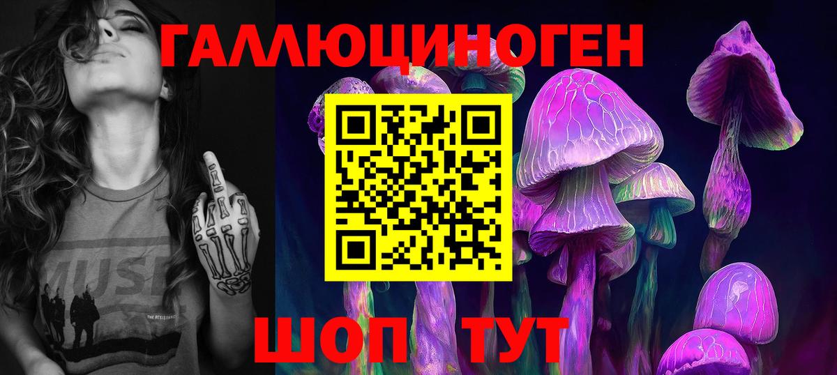 Псилоцибиновые грибы Cubensis  Вход с VPN  Майский 